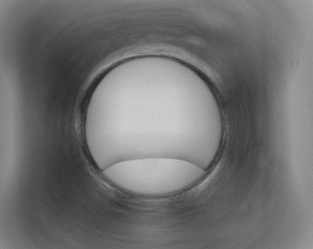 X0000113891498200909241131