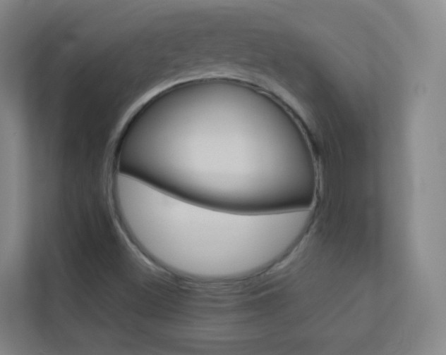 X0000113891500200909241131