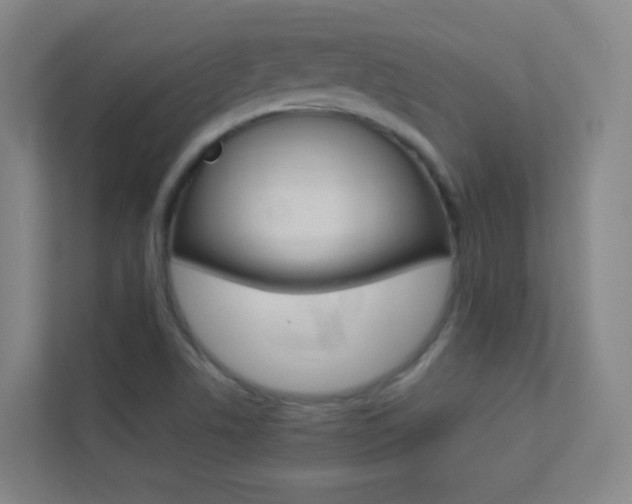 X0000113891506200909241131