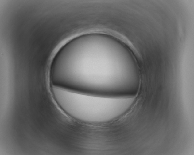 X0000113891512200909241131