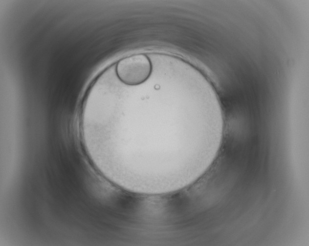 X0000113891514200909241131