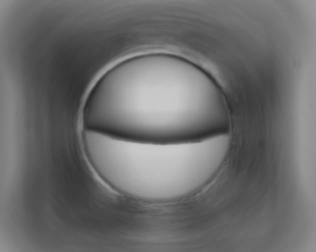 X0000113891516200909241131