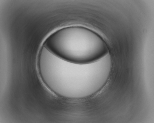 X0000113891518200909241132