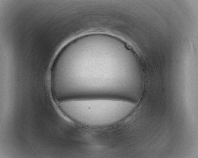 X0000113891519200909241132