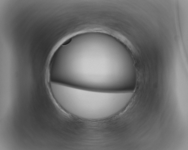 X0000113891520200909241132