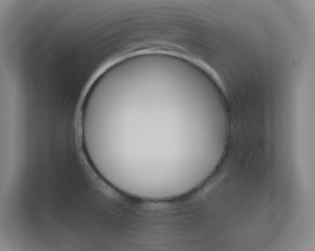 X0000113891522200909241132