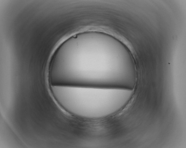 X0000113891525200909241132