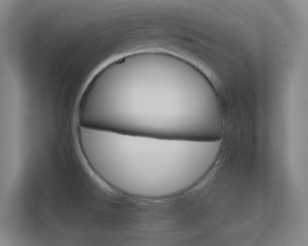 X0000113891526200909241132