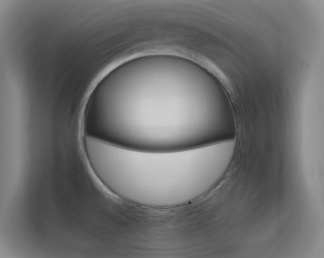 X0000113891528200909241132
