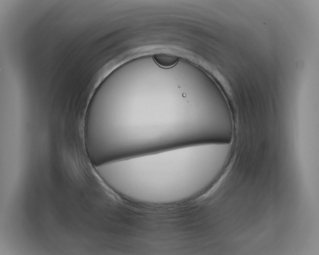 X0000113891529200909241132