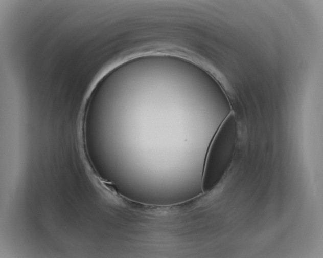 X0000113891530200909241132