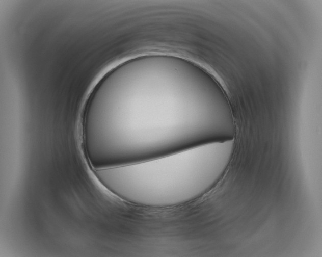 X0000113891531200909241132