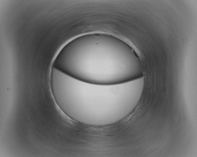 X0000113891532200909241132