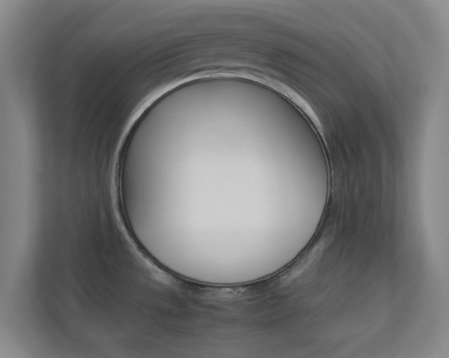 X0000113891533200909241132