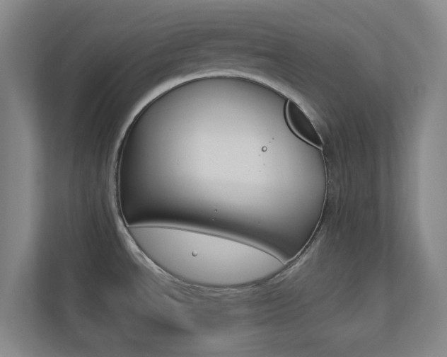 X0000113891534200909241132