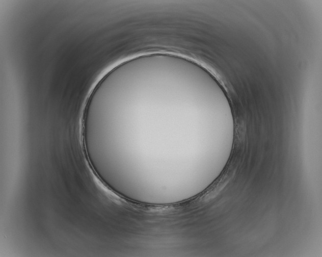 X0000113891535200909241132
