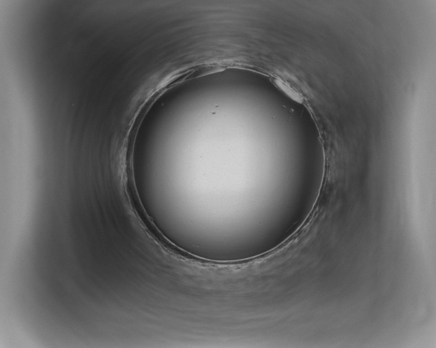 X0000113890002200909241426