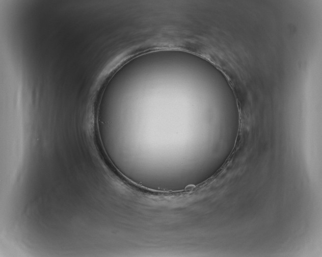 X0000113890005200909241426