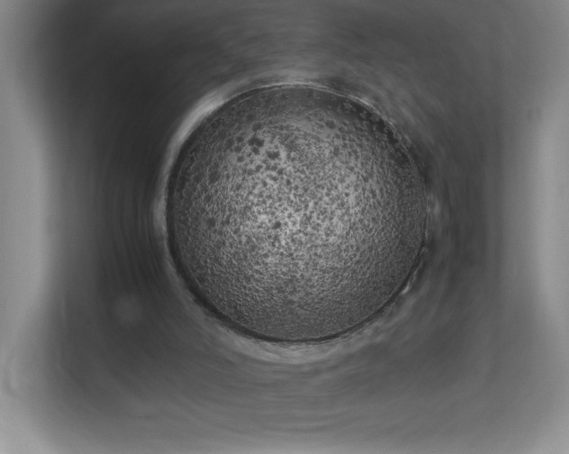 X0000113890006200909241426