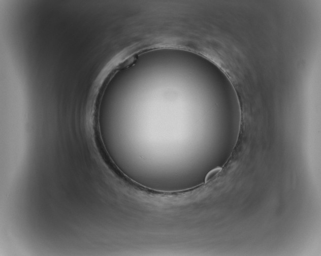X0000113890007200909241426