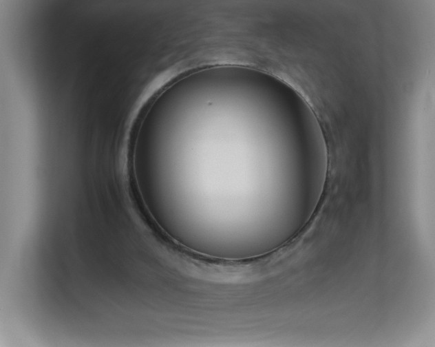X0000113890008200909241426