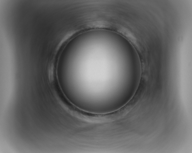 X0000113890012200909241426