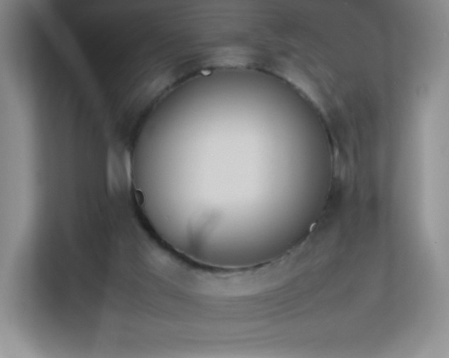 X0000113890013200909241426