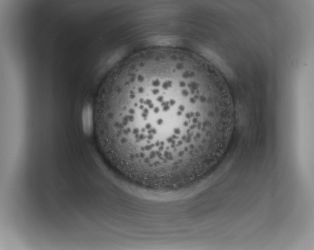 X0000113890014200909241426
