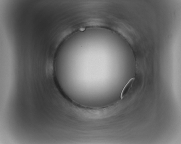 X0000113890015200909241426
