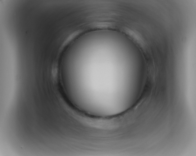 X0000113890016200909241426