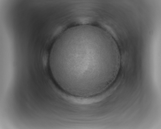 X0000113890018200909241426