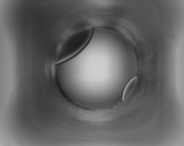 X0000113890019200909241426