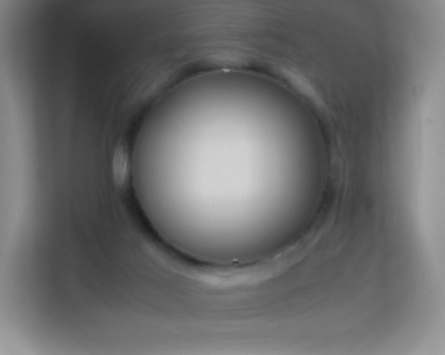 X0000113890021200909241426