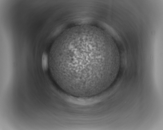 X0000113890022200909241426