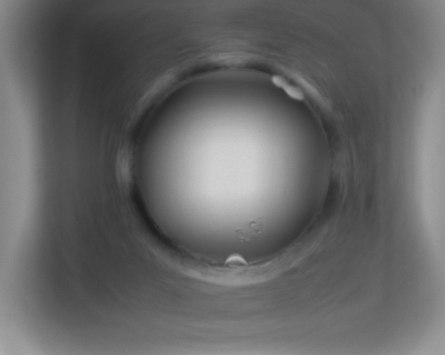 X0000113890023200909241426
