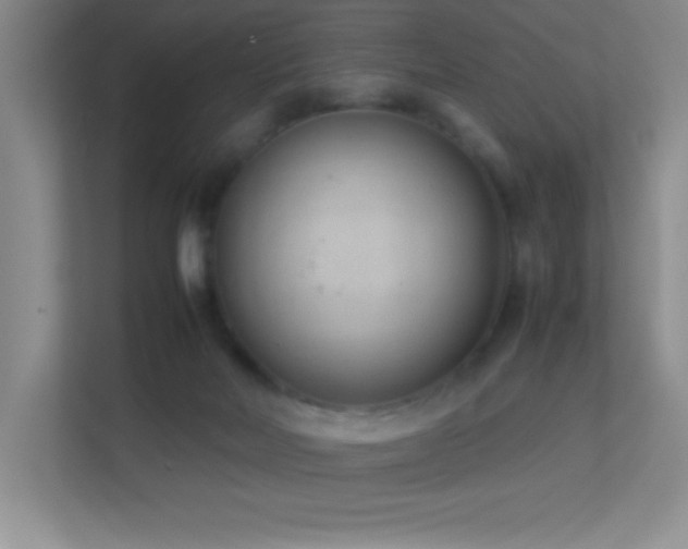 X0000113890026200909241426