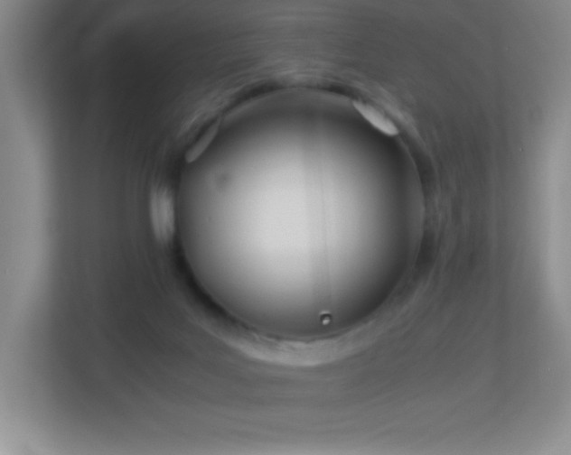 X0000113890027200909241426