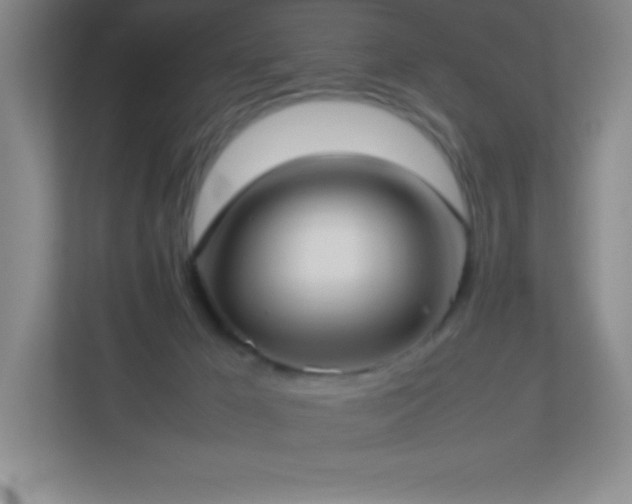 X0000113890029200909241426