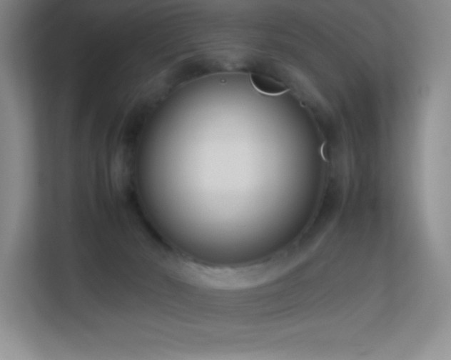 X0000113890030200909241426