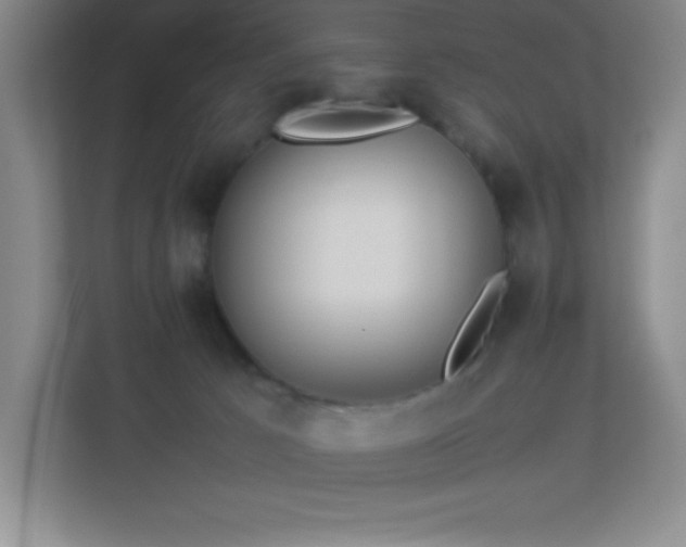 X0000113890033200909241426