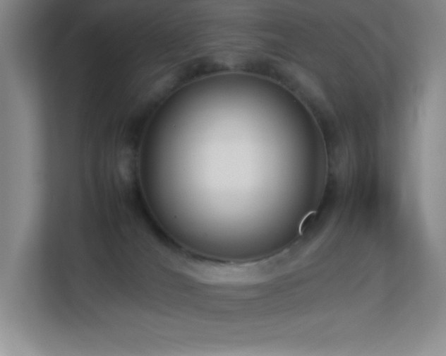 X0000113890036200909241426