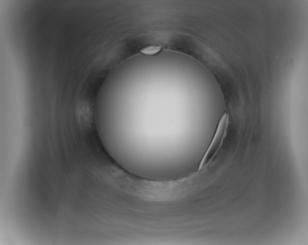 X0000113890037200909241426