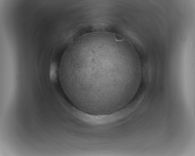 X0000113890038200909241426