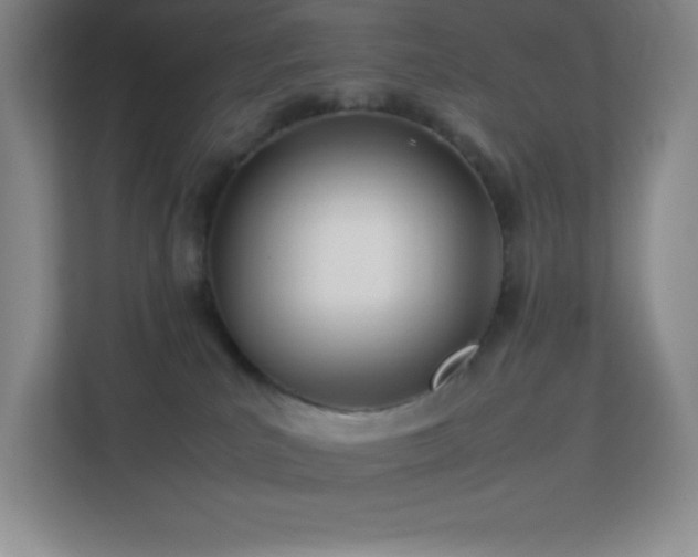 X0000113890039200909241426