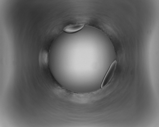 X0000113890041200909241426