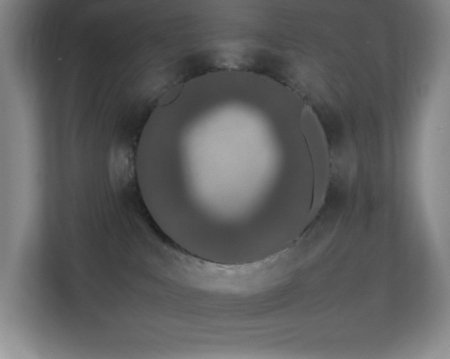 X0000113890043200909241426