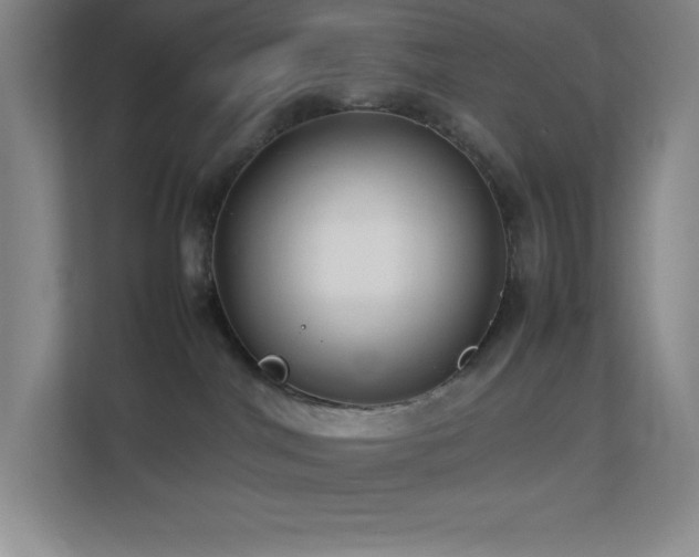 X0000113890044200909241426