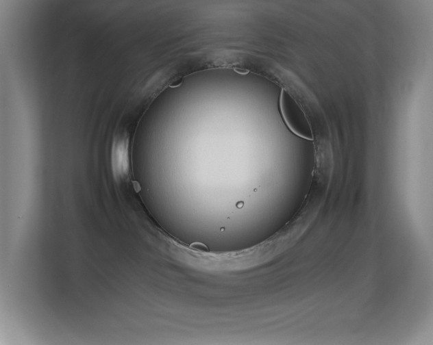 X0000113890046200909241426