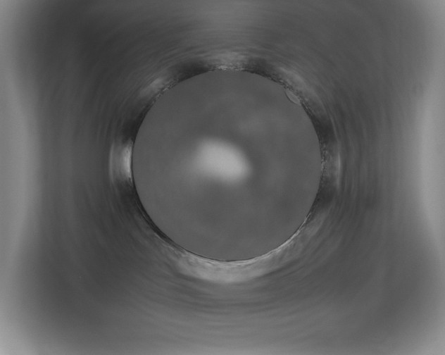 X0000113890047200909241426