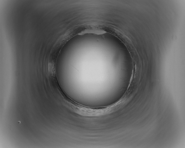 X0000113890048200909241426